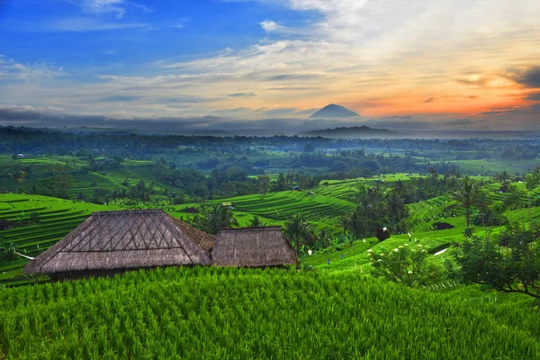 Jatiluwih Rýžová Terasa Ostrově Bali — Stock fotografie