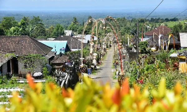 Desa Tradisional Bali Dihiasi Dengan Dekorasi Daun Bambu Dan Palem — Stok Foto