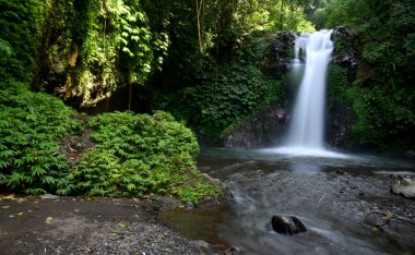 Bali Singaraja naipliğinde Gitgit 'in küçük şelalesi