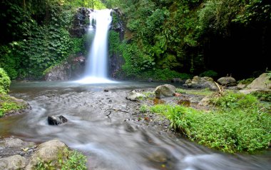 Bali Singaraja naipliğinde Gitgit 'in küçük şelalesi