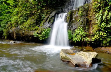 Düşük panjurlu sularName