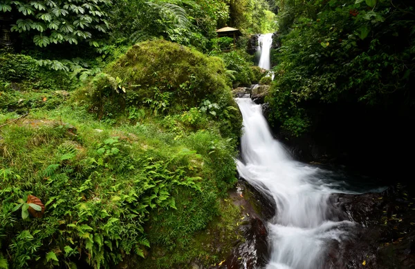 Pequena Cachoeira Gitgit Singaraja Regência Bali — Fotografia de Stock