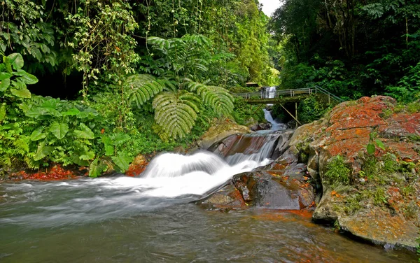 巴厘岛Singaraja县Gitgit的小瀑布 — 图库照片