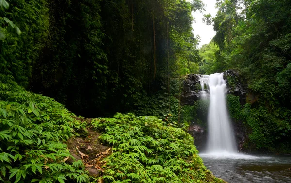 Bali Singaraja naipliğinde Gitgit 'in küçük şelalesi