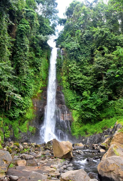 巴厘岛Singaraja县Gitgit瀑布 — 图库照片