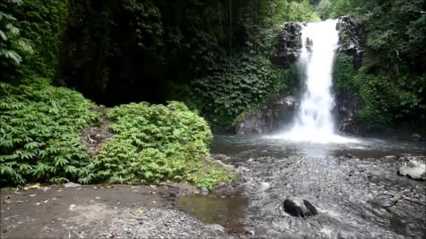 Malý Vodopád Gitgit Singarajském Regentství Bali — Stock video