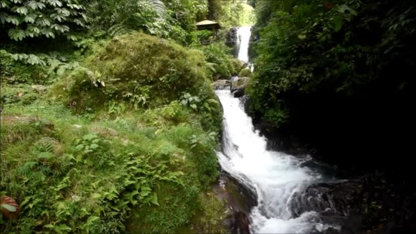 Kleiner Wasserfall Von Gitgit Singaraja Regentschaft Von Bali — Stockvideo