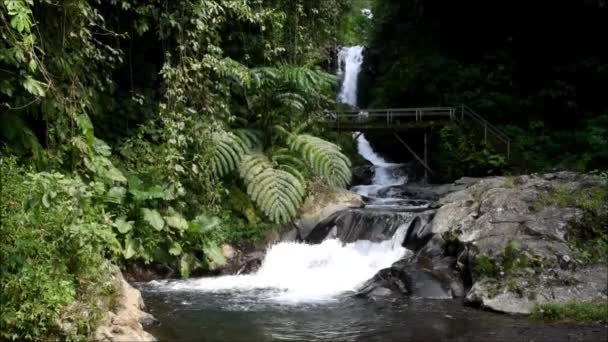バリ島のシンガラジャ県のGitgitの小さな滝 — ストック動画