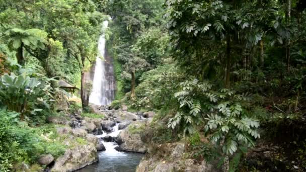 Cascada Gitgit Regencia Buleleng Bali — Vídeos de Stock