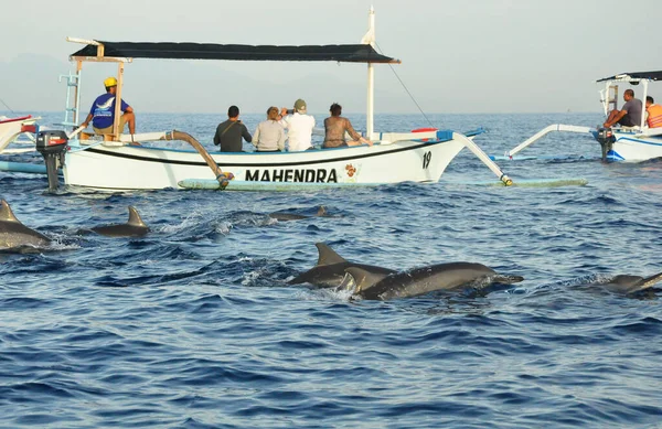 stock image OVINA,INDONESIA-AUGUST 28 2016: Dolphins tour in Lovina beach, using the traditional fischer boot of the local people early morning or daytime.