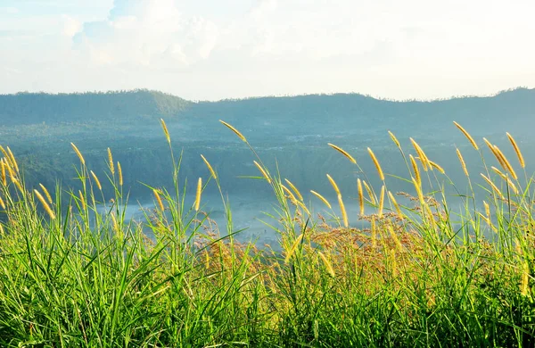 Landschaft Des Berges Batur Und Umgebung Bei Bangli Regentschaft Von — Stockfoto