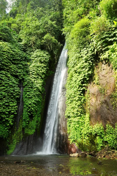 Munduk Waterval Bali Indonesië Met Helder Wit Water — Stockfoto