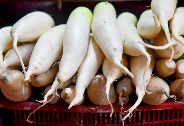 Rabanete Branco Vegetal Close — Fotografia de Stock