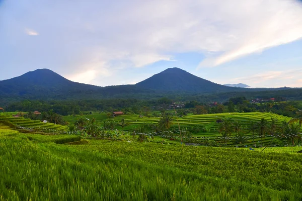 Jatiluwih Arroz Terraço Início Manhã Com Céu Bonito — Fotografia de Stock