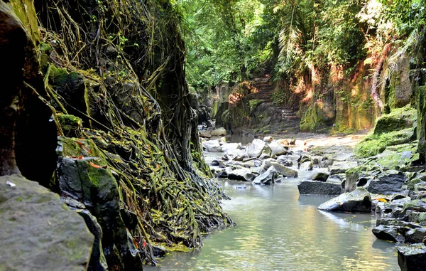 Río Cascada Kanto Lampo Gianyar Regencia Bali Indonesia Con Piedra —  Fotos de Stock
