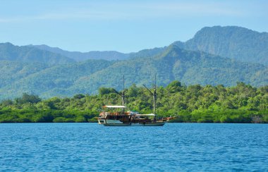 Mavi okyanuslu Batı Bali Milli Parkı manzarası ve bir keşif botu.