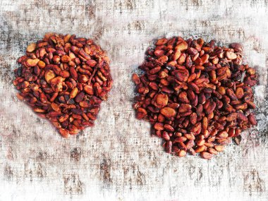 Cacao beans placed and drying on dirty white background