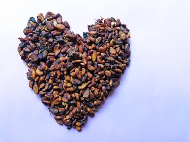 Cacao beans in heart or love form isolated on color background