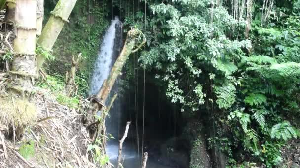 巴厘岛印度尼西亚Tabanan县Babahan村 Kincir 小瀑布 绿林秀丽 — 图库视频影像
