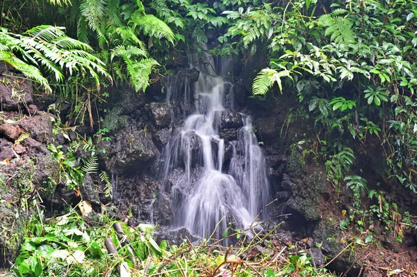 Небольшой Водопад Возле Водопада Кинсир Деревне Бабахан Табанане Регентство Бали — стоковое фото