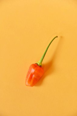 Kırmızı biber sarı arkaplanda izole edilmiş.