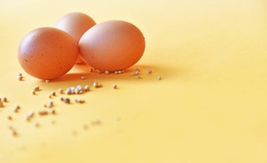 Arka planda beyaz biberli tavuk yumurtası.