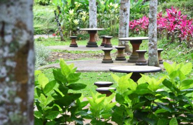 Bahçenin ortasına Beton masa ve sandalye.