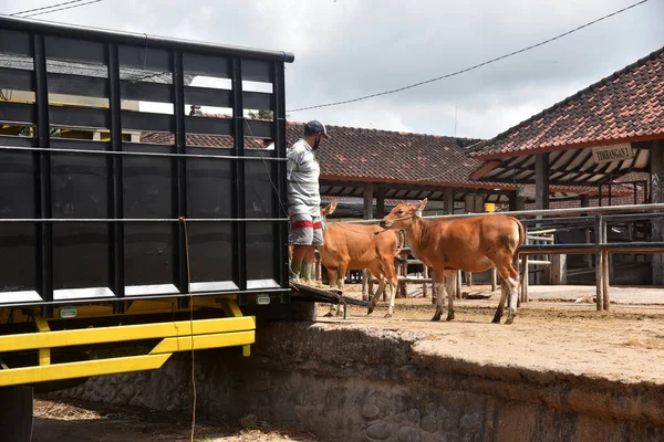 Bali Indonésie Septembre 2021 Badung Régence Bali Indonésie Pendant Journée — Photo