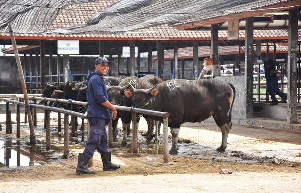 Bali Indonésie Septembre 2021 Badung Régence Bali Indonésie Pendant Journée — Photo