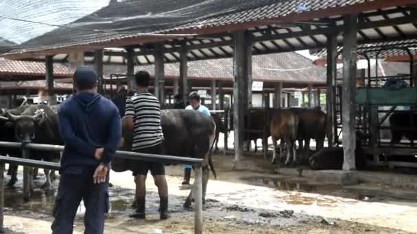 Bali Indonesia September 2021 Badung Regency Bali Indonesia Během Dne — Stock video