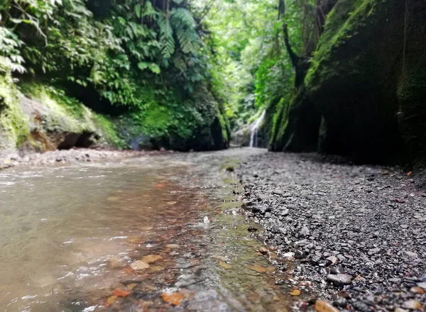 Doğal taş ön plan, doğa bulanık arkaplan. Doğal arka plan kavramı