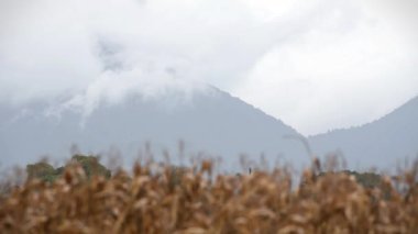 Bulutlu dağ, zaman geçtikçe