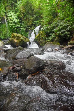 YEH HOO Şelalesi, Endonezya 'nın Tabanan krallığında, çarpıcı orman titreşimleriyle