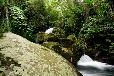YEH HOO Şelalesi, Endonezya 'nın Tabanan krallığında, çarpıcı orman titreşimleriyle