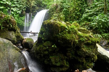 YEH HOO Şelalesi, Endonezya 'nın Tabanan krallığında, çarpıcı orman titreşimleriyle