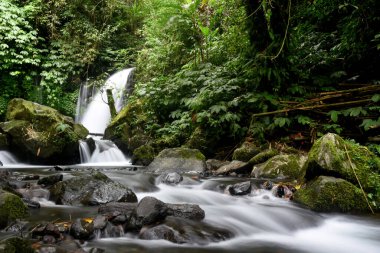YEH HOO Waterfall, at Tabanan regency of Bali Indonesia, with stunning forest vibes