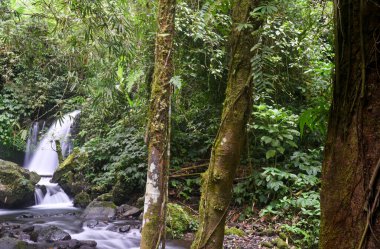 YEH HOO Şelalesi, Endonezya 'nın Tabanan krallığında, çarpıcı orman titreşimleriyle