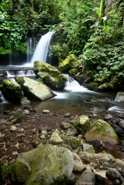 YEH HOO Şelalesi, Endonezya 'nın Tabanan krallığında, çarpıcı orman titreşimleriyle