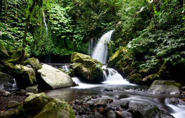 YEH HOO Şelalesi, Endonezya 'nın Tabanan krallığında, çarpıcı orman titreşimleriyle