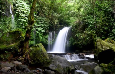 YEH HOO Şelalesi, Endonezya 'nın Tabanan krallığında, çarpıcı orman titreşimleriyle