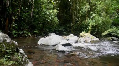 YEH HOO Şelalesi, Endonezya 'nın Tabanan krallığında, çarpıcı orman titreşimleriyle
