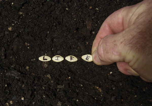 Sowing The Seed Of Life — Stock Photo, Image