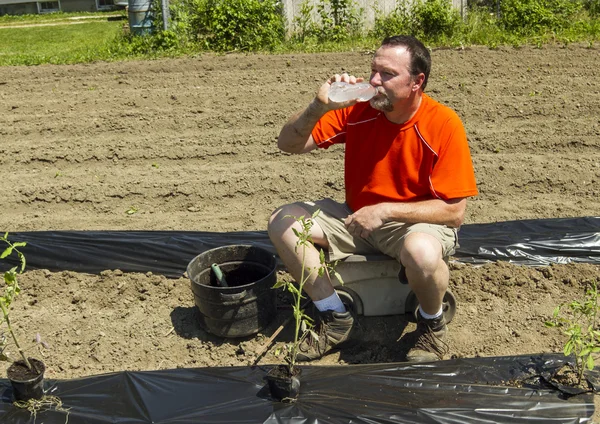 Agricultor orgánico tomando un descanso de agua — Foto de Stock