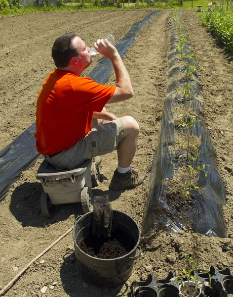 Agriculteur biologique prenant une pause de l'eau après avoir terminé une rangée — Photo