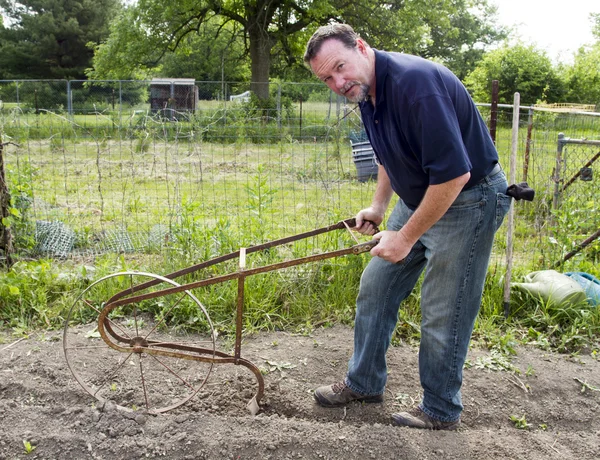 Usando un cultivador de alta rueda para hacer una fila de semillas en un jardín — Foto de Stock