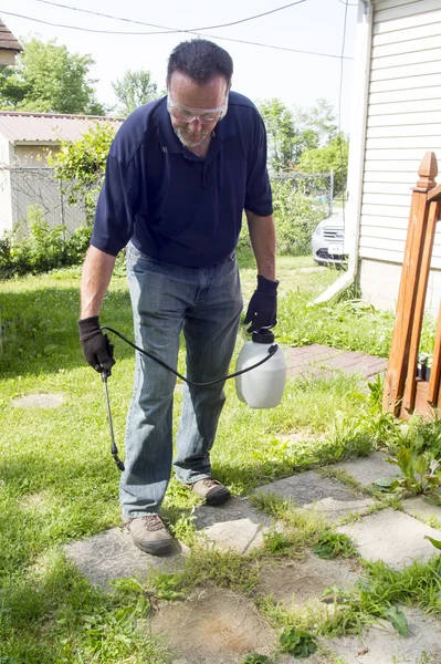 Spruzzare Weed Killer su un vecchio patio — Foto Stock