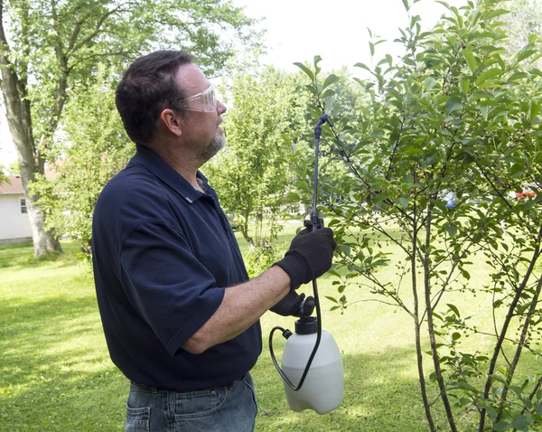 Agricoltore che spruzza un albero di ciliegio — Foto Stock