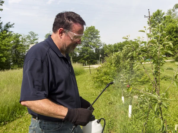 Agricoltore che innaffia un po 'di spray biologico su un albero di mele — Foto Stock