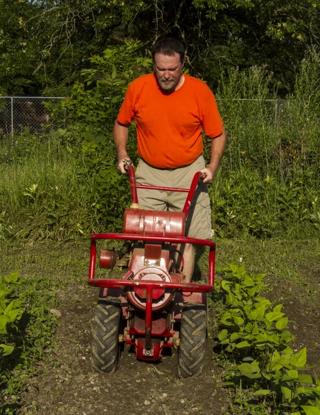 Cultivating Between Rows With A Garden Tiller — Stock Photo, Image