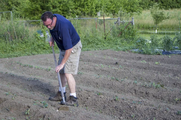 Agriculteur désherber son jardin avec une houe — Photo